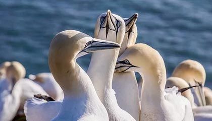 亚博体育平台-PG游戏官网登录入口——开启娱乐新纪元的关键门槛