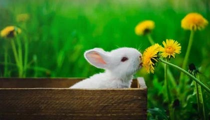 亚博体育官网-爱游戏体育：让电竞激情融入日常运动的全新生活方式